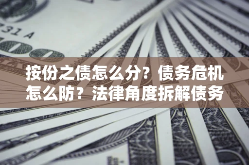武汉按份之债怎么分？债务危机怎么防？法律角度拆解债务分配与风险自保指南