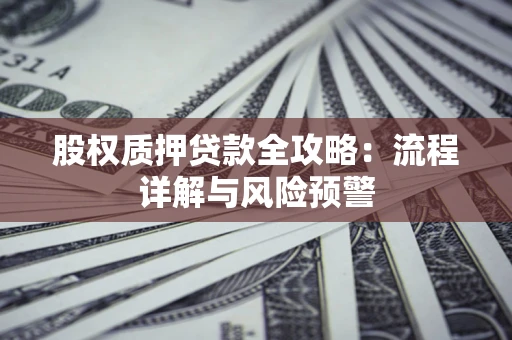 武汉股权质押贷款全攻略：流程详解与风险预警