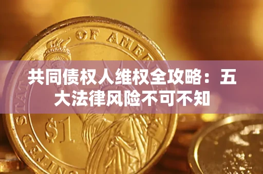 武汉共同债权人维权全攻略：五大法律风险不可不知