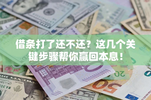 武汉借条打了还不还？这几个关键步骤帮你赢回本息！
