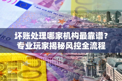 武汉坏账处理哪家机构最靠谱？专业玩家揭秘风控全流程