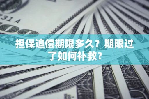 武汉担保追偿期限多久？期限过了如何补救？