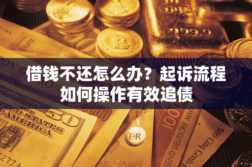 武汉借钱不还怎么办？起诉流程如何操作有效追债