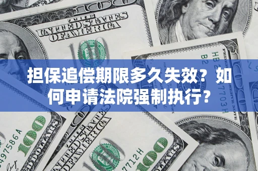武汉担保追偿期限多久失效？如何申请法院强制执行？