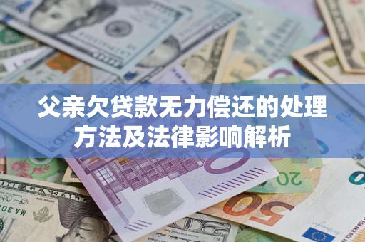 武汉父亲欠贷款无力偿还的处理方法及法律影响解析