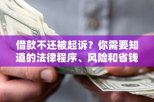 武汉借款不还被起诉？你需要知道的法律程序、风险和省钱技巧